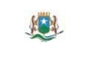 Government client