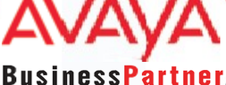 Avaya Business Partner